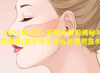 🌻 龅 🦈 牙整形费用揭秘与医院推荐(龅牙矫正牙齿的费用是多少)